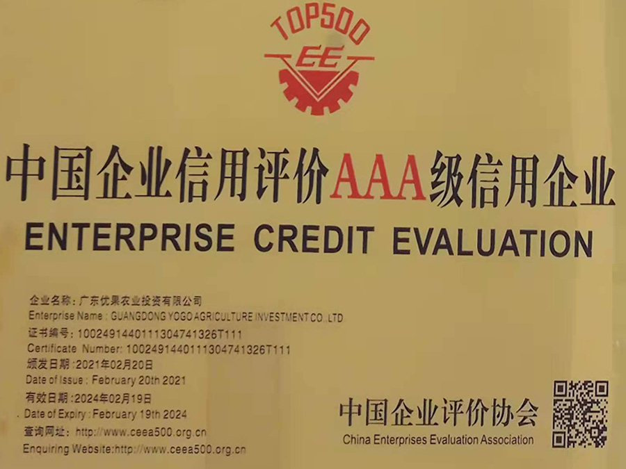 China enterprise credit evaluation AAA grade credit enterprise