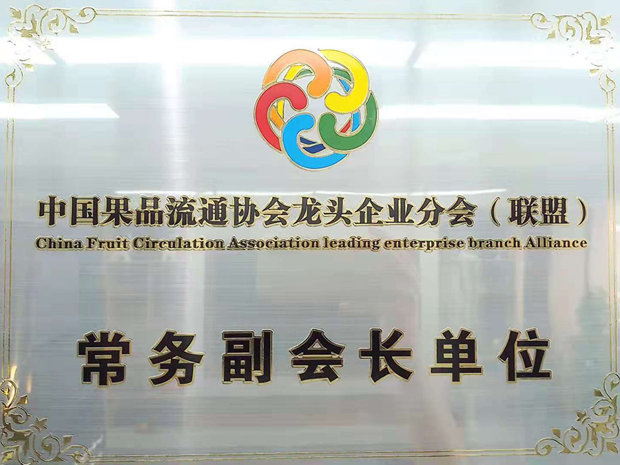 China Fruit Circulation Association leading enterprise branch (alliance) executive vice president unit
